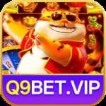 q9bet Elite APK v3.5.6